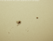 sonne28112020_lab