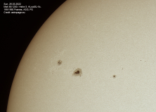 sonne26032022_lab