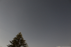 perseidmeteor12082022_4_lab