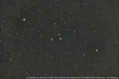 leotriplett_21032020_1_lab
