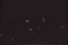 leotriplet15042023_lab