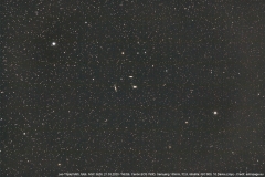 leotriplett_21032020_1_lab