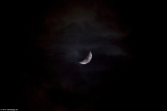 mond02022017_1_lab