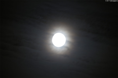 mond03102017_2_lab