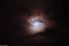 mond07032017_1_lab