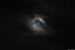 mond08102017_1_lab