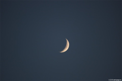 mond17062018_1_lab