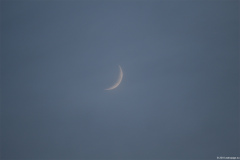 mond18052018_1_lab