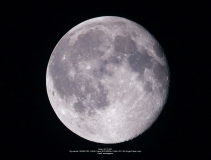 mond20122021_lab