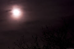mond21042016_1_lab