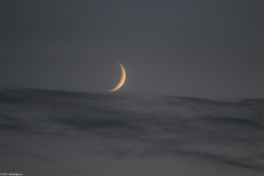 mond26072017_1_lab