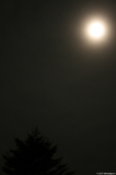 mond27122015_1_lab
