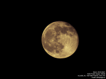 mond29032021_lab