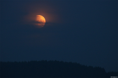 Partielle Mondfinsternis vom 16. Juli 2019. (Credit: astropage.eu)