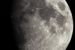 mondmosaik01032023_lab
