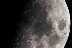 mondmosaik01112022_lab