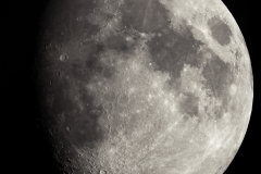 mondmosaik02032023_lab