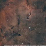 elefantenruesselnebel_ic1396a20260815