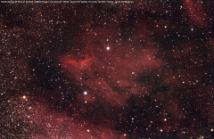 pelikannebel27052023_lab