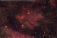 pelikannebel27052023_lab