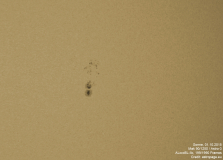 sonne01102015_2_lab