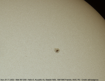 sonne01112022_lab