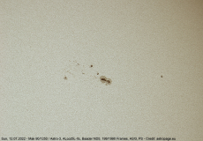 sonne12072022_2_lab
