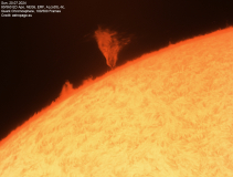 sonne20240720_lab