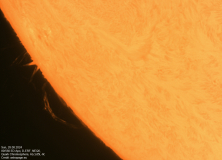 sonne20240828_lab