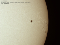 sonne28042022_lab