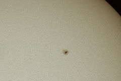 sonne01112022_lab