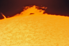 sonne20240526_lab