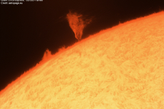 sonne20240720_lab