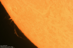 sonne20240828_lab