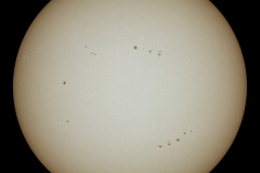 sonnenmosaik16062022_2_lab