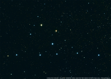 kleiderbuegelcollinder399_28082022_lab