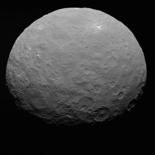 Ceres (NASA / JPL-Caltech / UCLA / MPS / DLR / IDA)