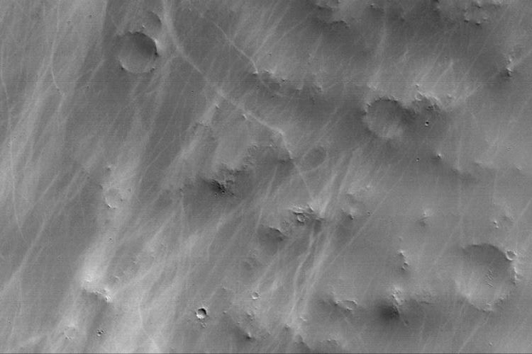 Spuren von Staubteufeln (Courtesy of NASA/JPL/Malin Space Science Systems)