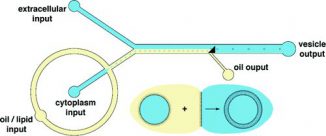 Schematischer Aufbau der Fabrikationsstraße. (Scripps Research Institute)