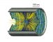 RHIC, Brookhaven National Laboratory