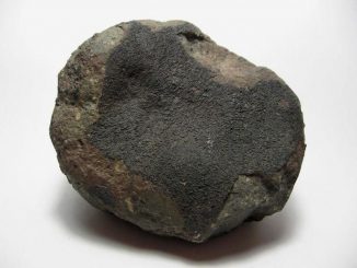 Ein Teil des Allende Meteoriten, ein kohlenstoffreicher Chondrit (H. Raab / Wikimedia Commons / CC BY-SA 3.0)