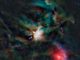 Die Sternentstehungsregion Rho Ophiuchi. (NASA/JPL-Caltech/UCLA)