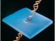 Illustration der DNA-Stretching-Methode (Credit: CIC microGUNE)