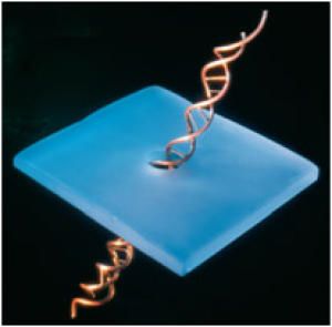 Illustration der DNA-Stretching-Methode (Credit: CIC microGUNE)