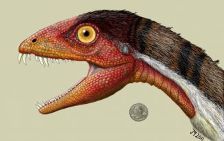 Illustration von Daemonosaurus chauliodus (Jeffrey Martz)