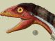 Illustration von Daemonosaurus chauliodus (Jeffrey Martz)