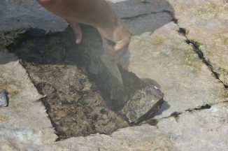 Mikrobielle Matte in einer flachen Lagune in Venezuela (Courtesy of Murray Gingras)