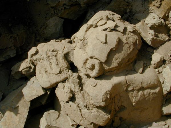 Die 4.000 Jahre alte Büste ist vollständig freigelegt, auch wenn die Beine nicht sichtbar sind, weil sie über den Rand einer Wand hängen. Die Finger der Hand sind auf der Trompete sichtbar. (Bernardino Ojeda / University of Missouri)