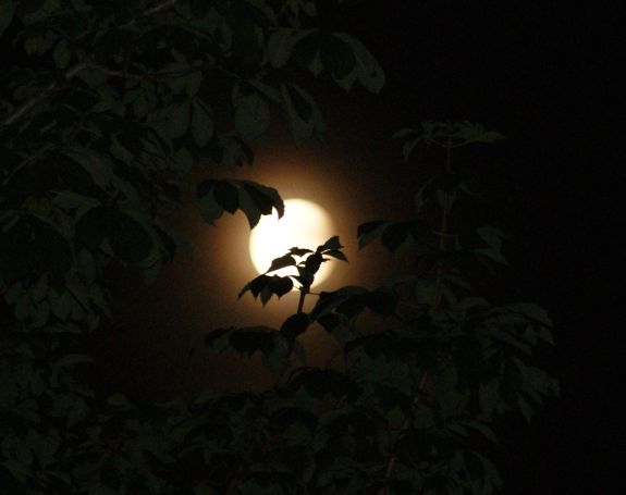 Totale Mondfinsternis vom 15. Juni 2011 / Koblenz, Deutschland (astropage.eu)