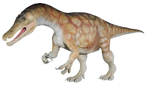 Darstellung eines Baryonyx (Natural History Museum)